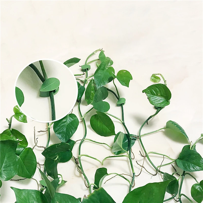 10/30/50Pc Plant Climbing Wall Fixture Clips Rattan Vine Fixer Self-Adhesive Hook Invisible Garden Binding Clip Wall Sticky Clip