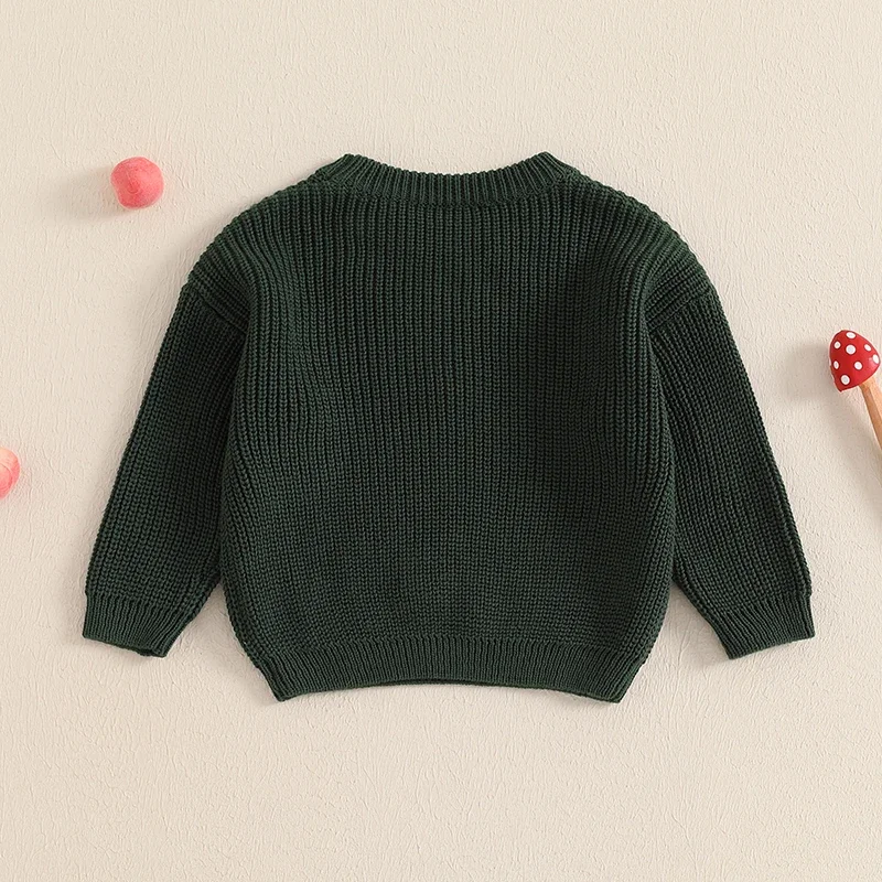 Pull à Manches sulfet Col Ras du Cou pour Nouveau-né, Vêtement Chaud en Tricot avec Broderie, pour Fille et Garçon, pour Automne et Hiver