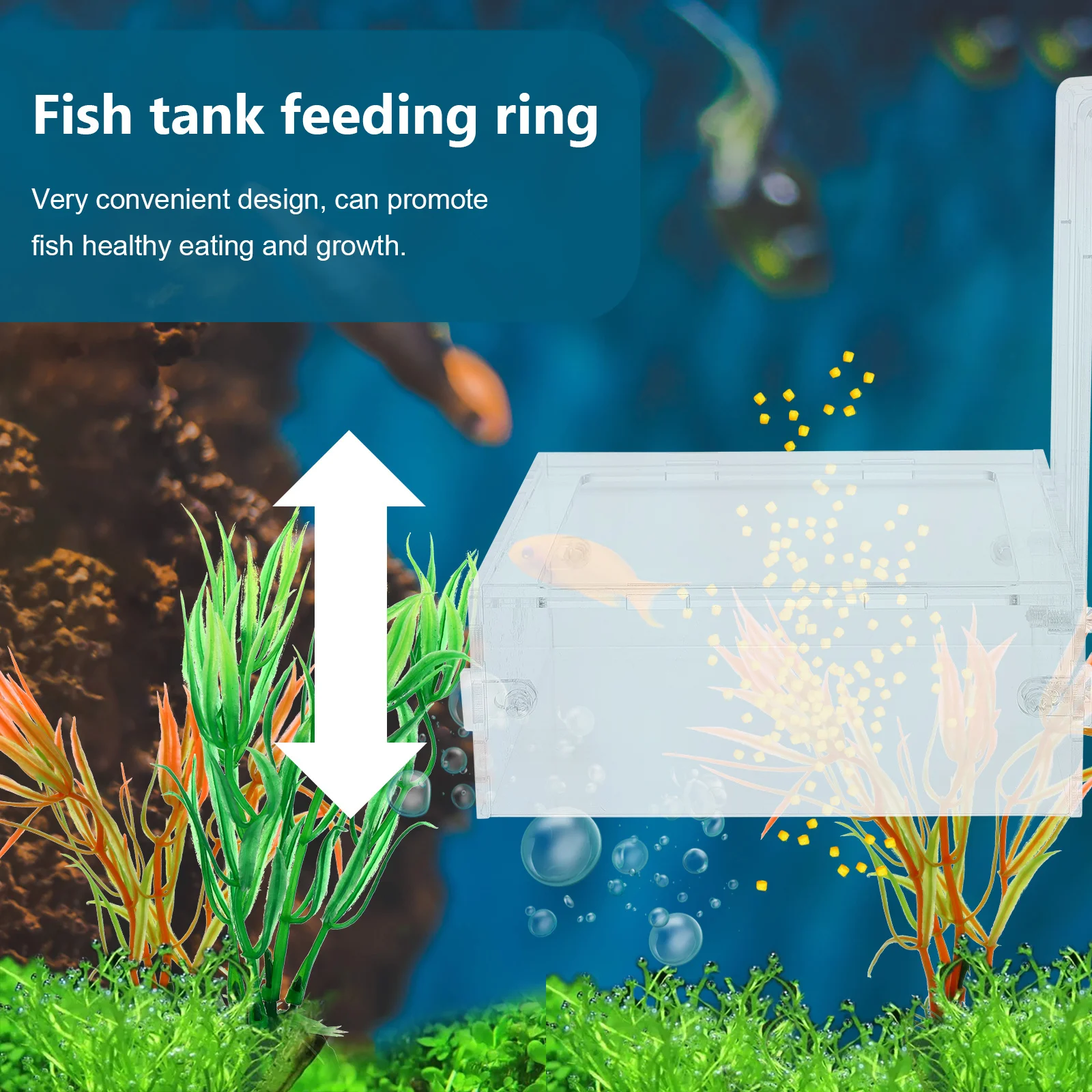 

1Pcs Fish Feeder Acrylic Feeding Circle Fish Tank Feeder Hook Type Aquarium Feeding Tool Food Container Aquarium Accessory