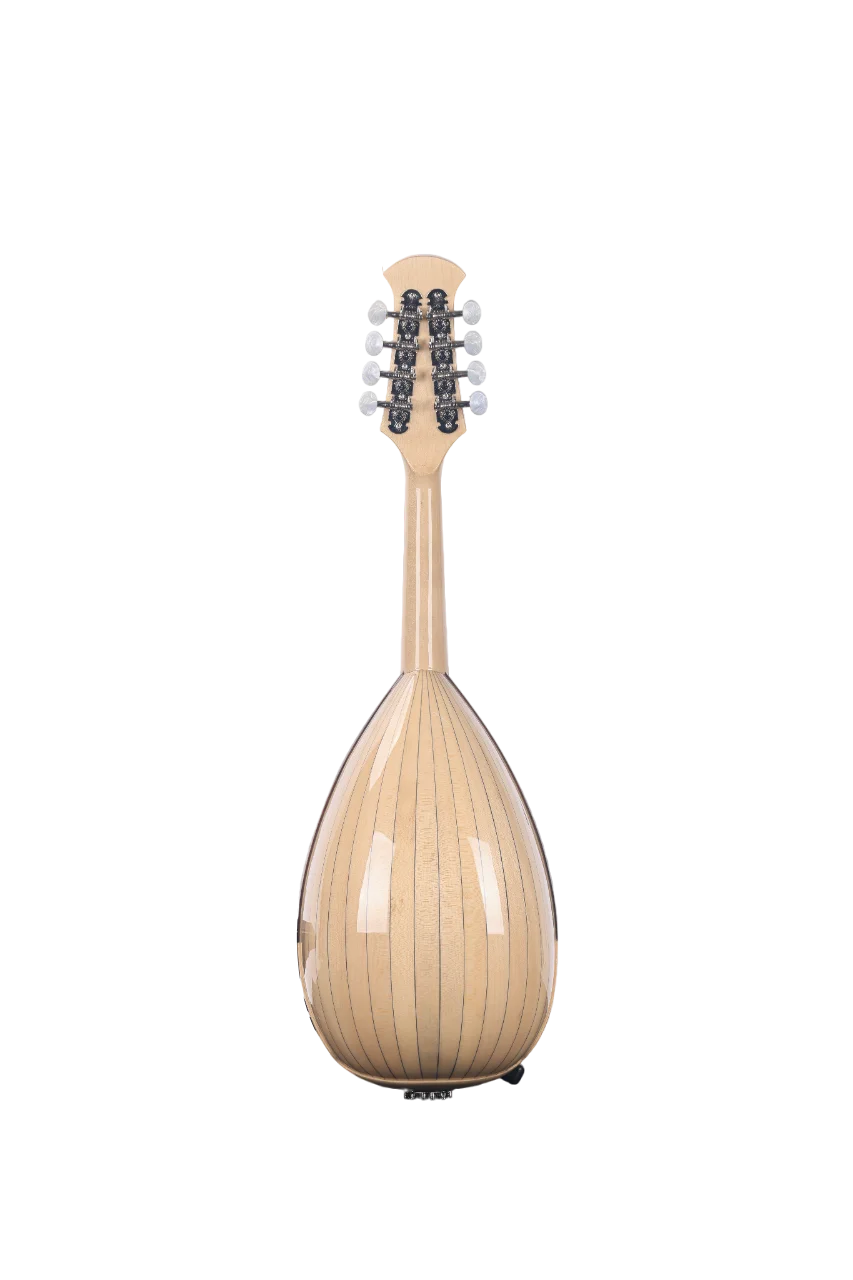 Musical Instruments Style Mandolin