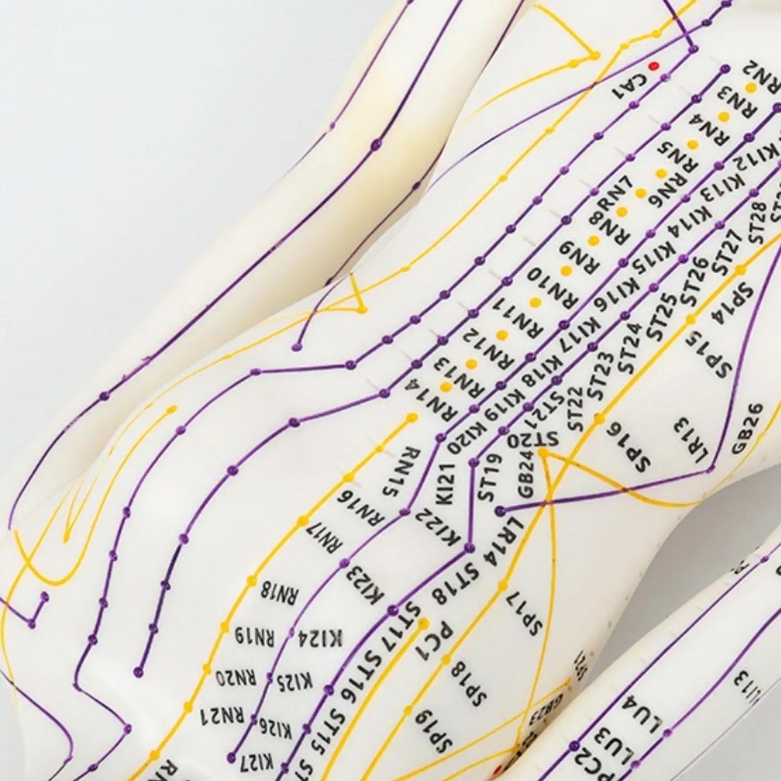 Thumbnail 3 - #10 Best Acupuncture Models to Buy In 2026