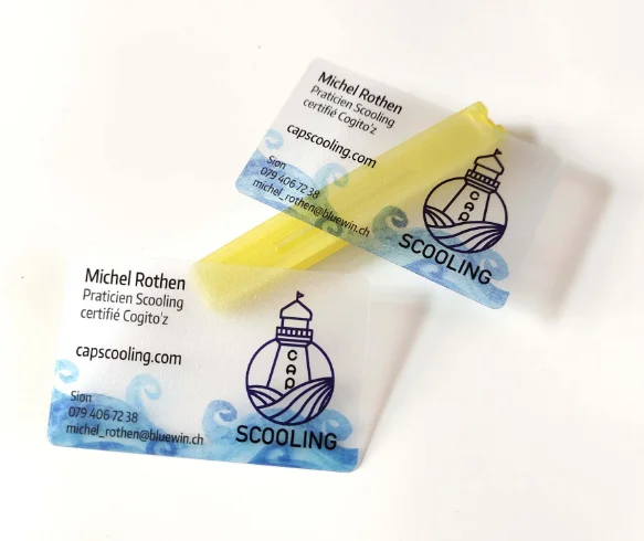 Customized semi transparent business card, plastic rounded corner printing, PVC single-sided waterproof card