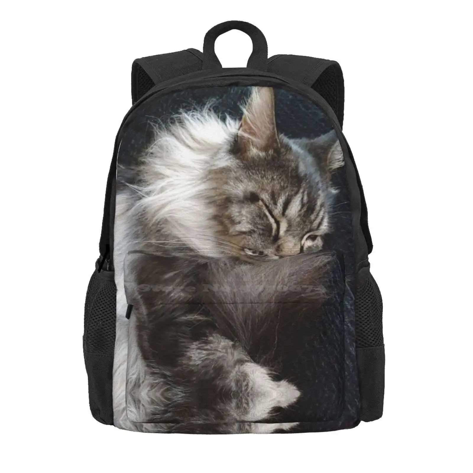 Maine Coon Cat Hot Sale Schoolbag Backpack Fashion Bags Maine Coon Cat Animal Cornishphotos Deb Vincent