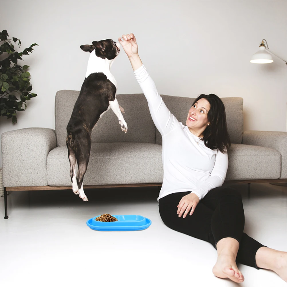 

Anti Ant Cat Bowl Double Bowls Pet Feeder Water Dispenser Outdoor Cat Dog Bowls Puppy Food Dishes Small Medium Pets