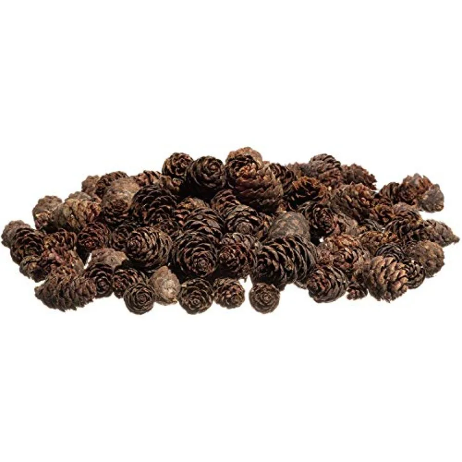 

Pine Cones 100 Small Pine Cones 3/4"-1 1/4" 6 oz Mini Black Spre Pine Cones Pine Cone Filler