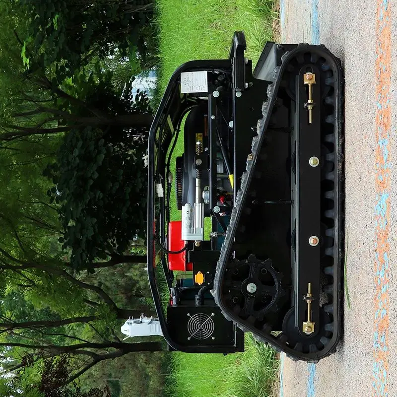 Customizable Petrol… - image