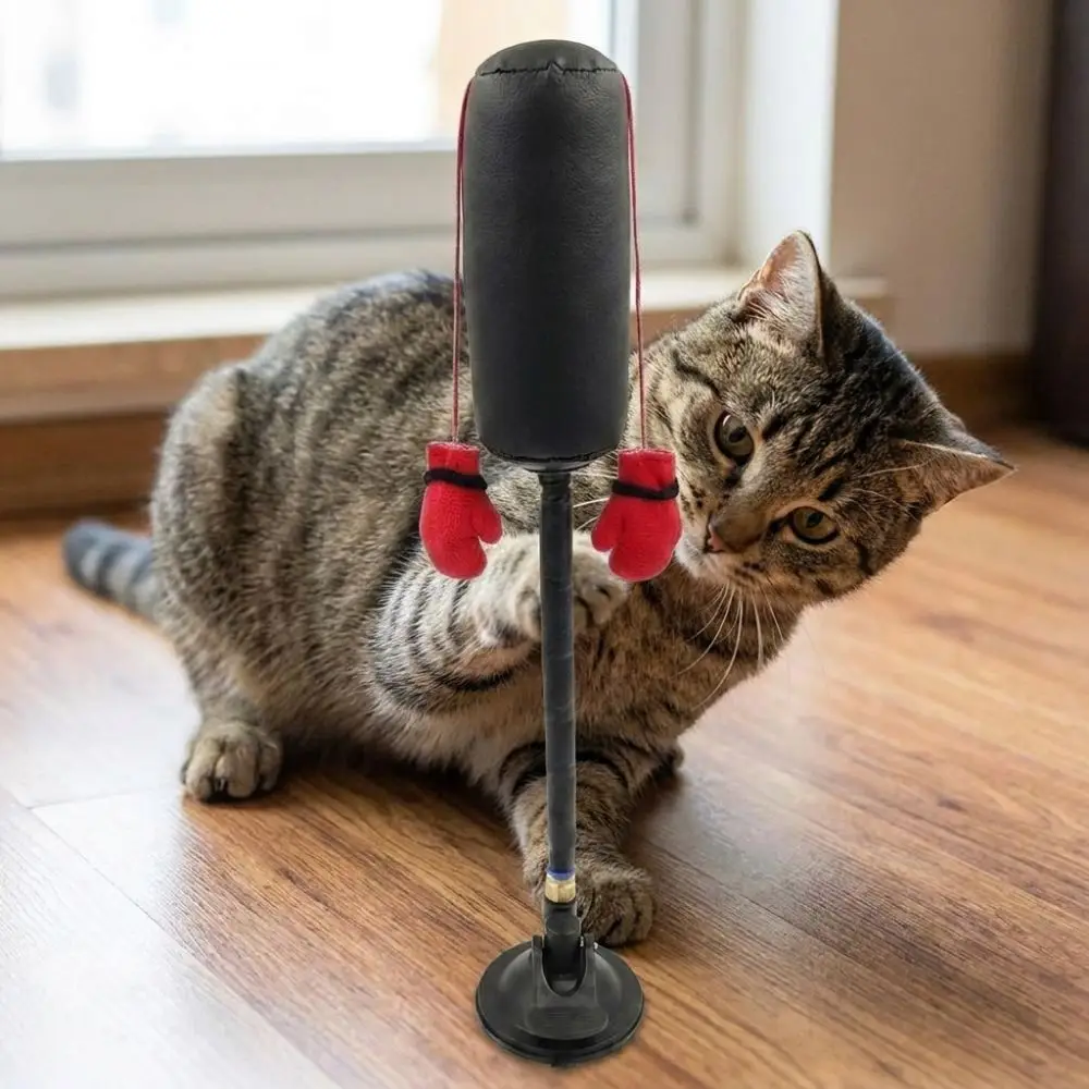 Suction Cup Cat Boxing Self-standing Bite Resistant Pet Punching Bag Scratch Trainer Scratch Resistant Interactive Cat