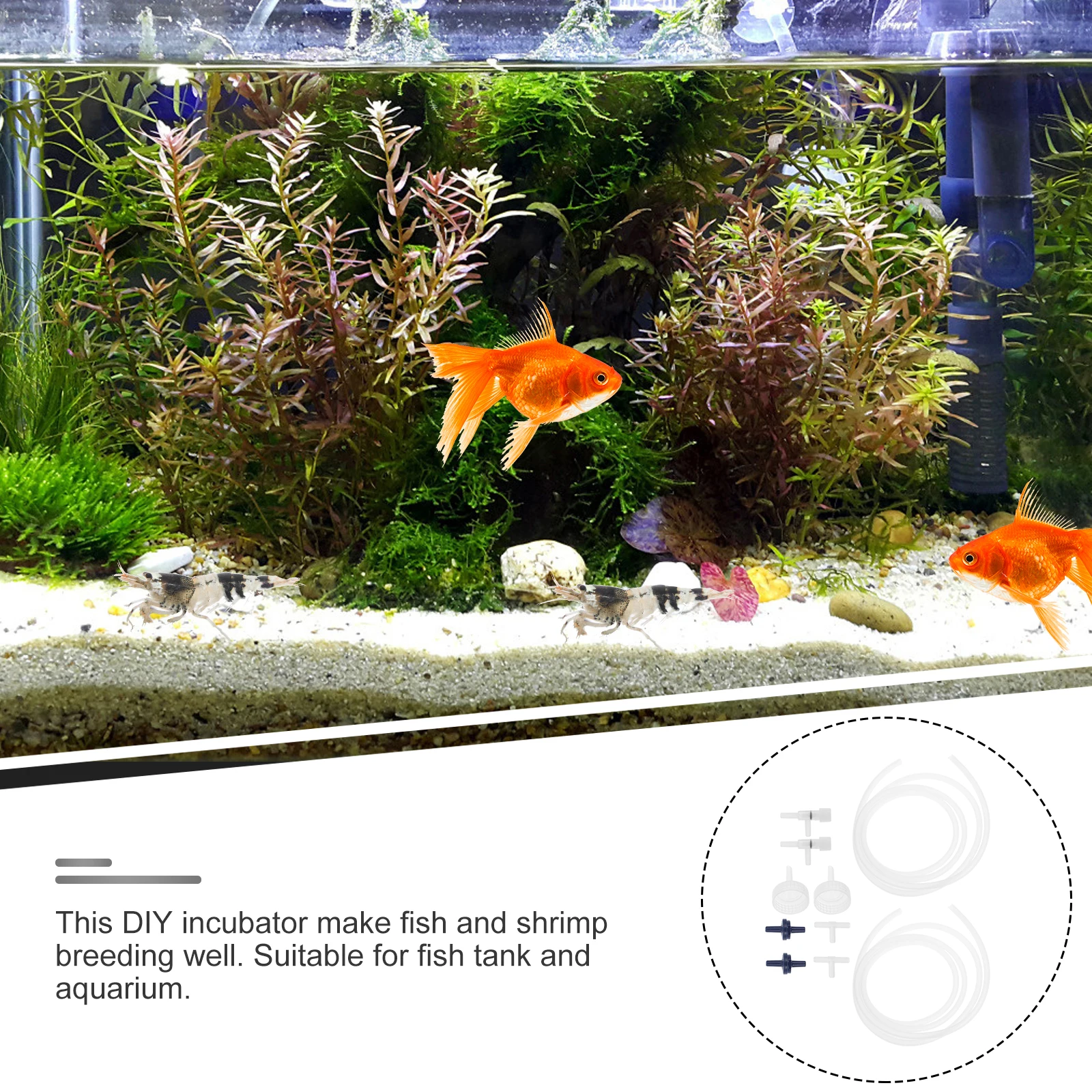 

2 set 2 Sets Soda Bottle Shrimp Hatchery Kit 3 Way Artemia Hatching Tool Accessories For Fish Tank Incubator Aquarium Diy Shrimp
