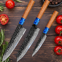 Professional Japanese VG10 Damascus Steel Kitchen Knife 3PCS  Set Chefs Knife Paring knife Santoku Knives Chef Knife Set