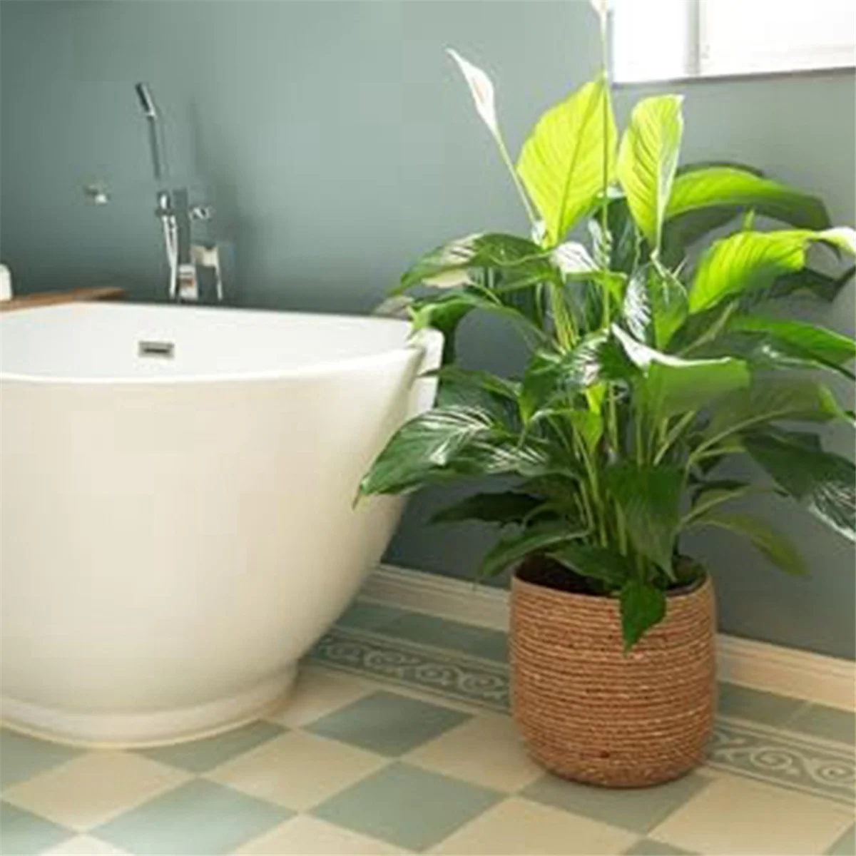 وعاء زهور الأعشاب البحرية A42F - وعاء نباتات منسوج - سلة نباتات مزخرفة مع إدخال فيلم بلاستيكي على طراز بوهو S