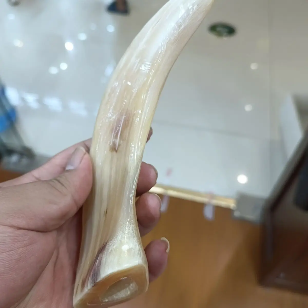 Home Decor Crafts Goat Sheep Horn Tube Horn Tube for Scrapping Therapy Horn Crafts Antistatic Display