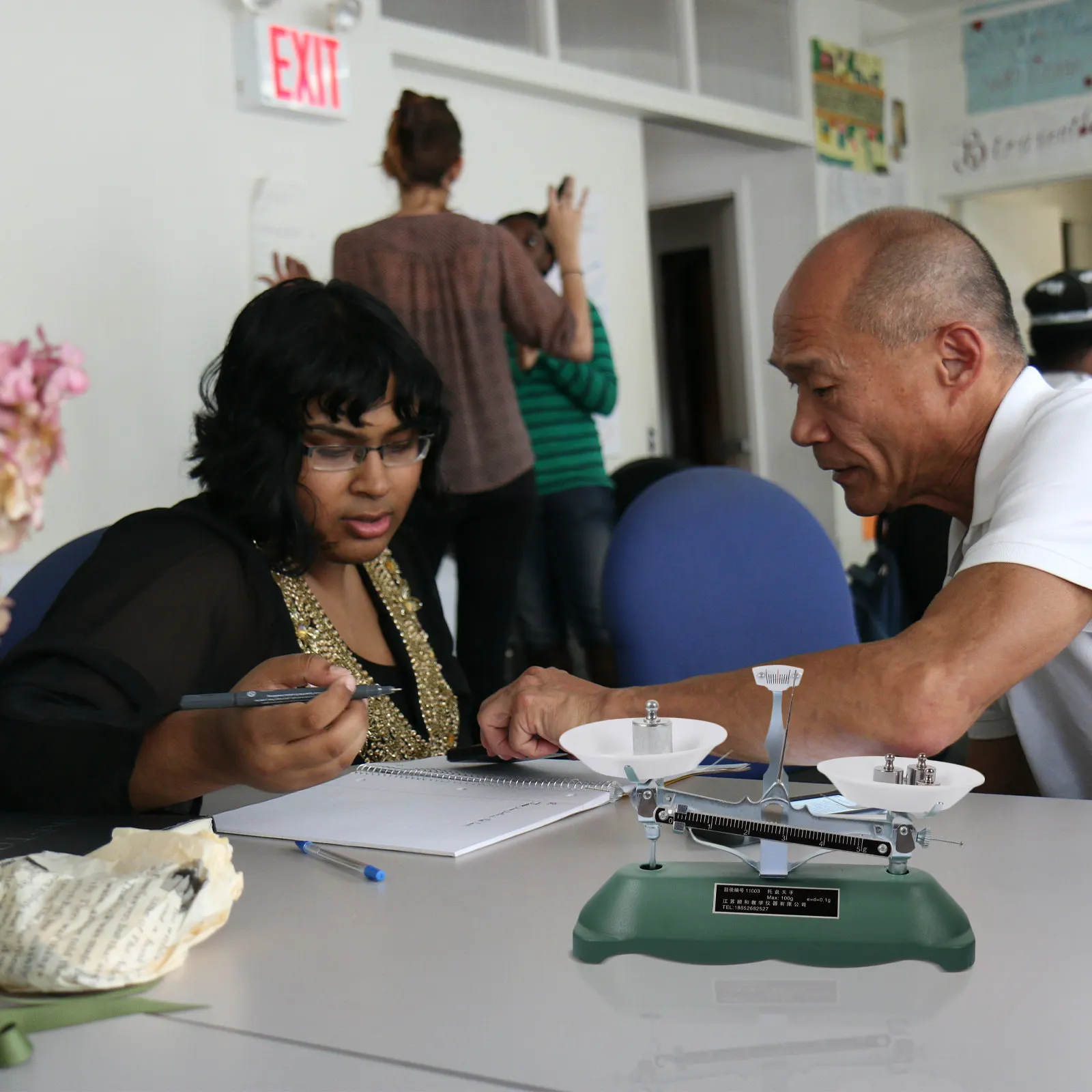 

Набор для физических экспериментов: Учебные весы-балансир с четкой шкалой для лабораторных работ по физике