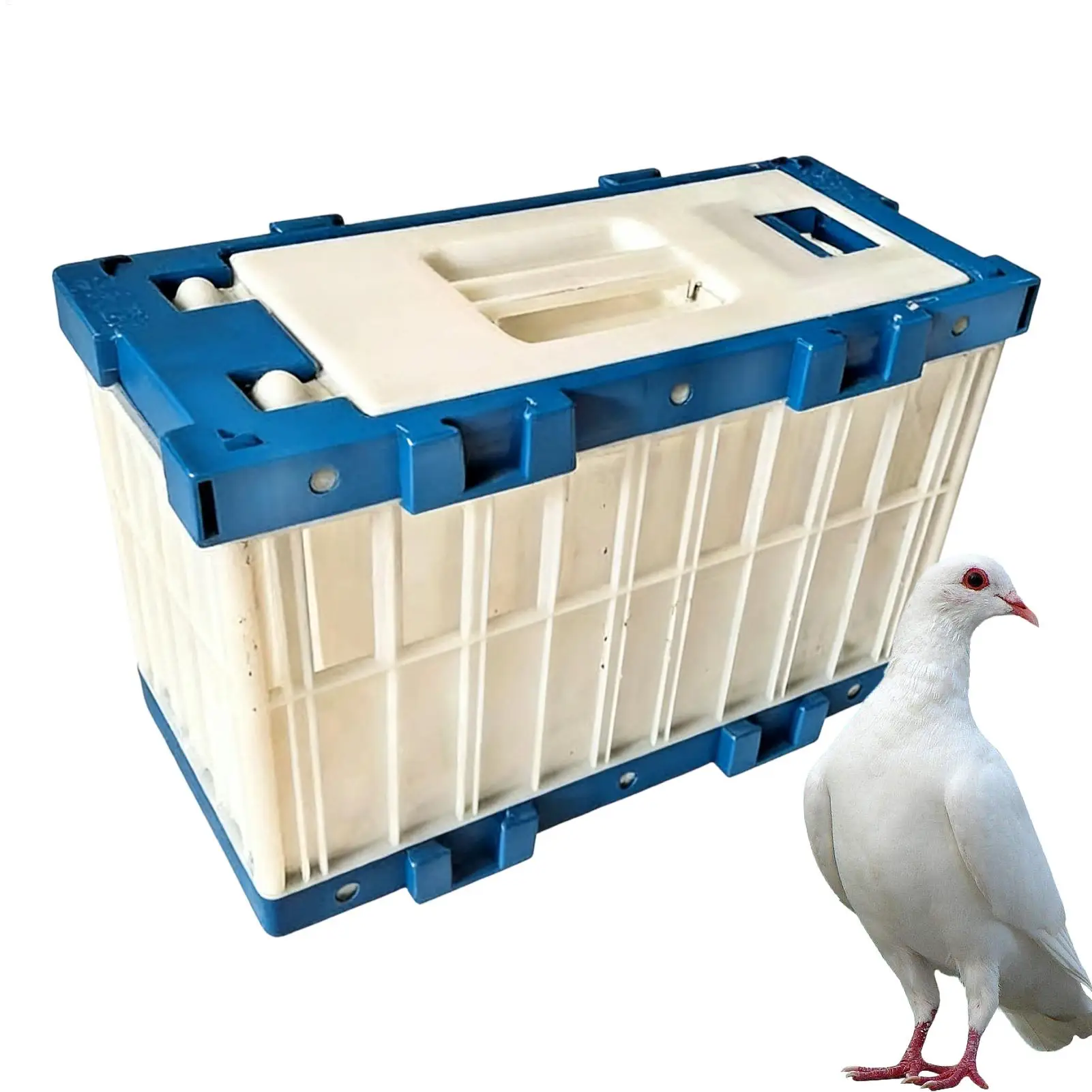 Reise-Vogelkäfig Atmungsaktiver Tauben-Transportkäfig mit Verschluss für Sittich- und Papageientransport, Training und Freigabe