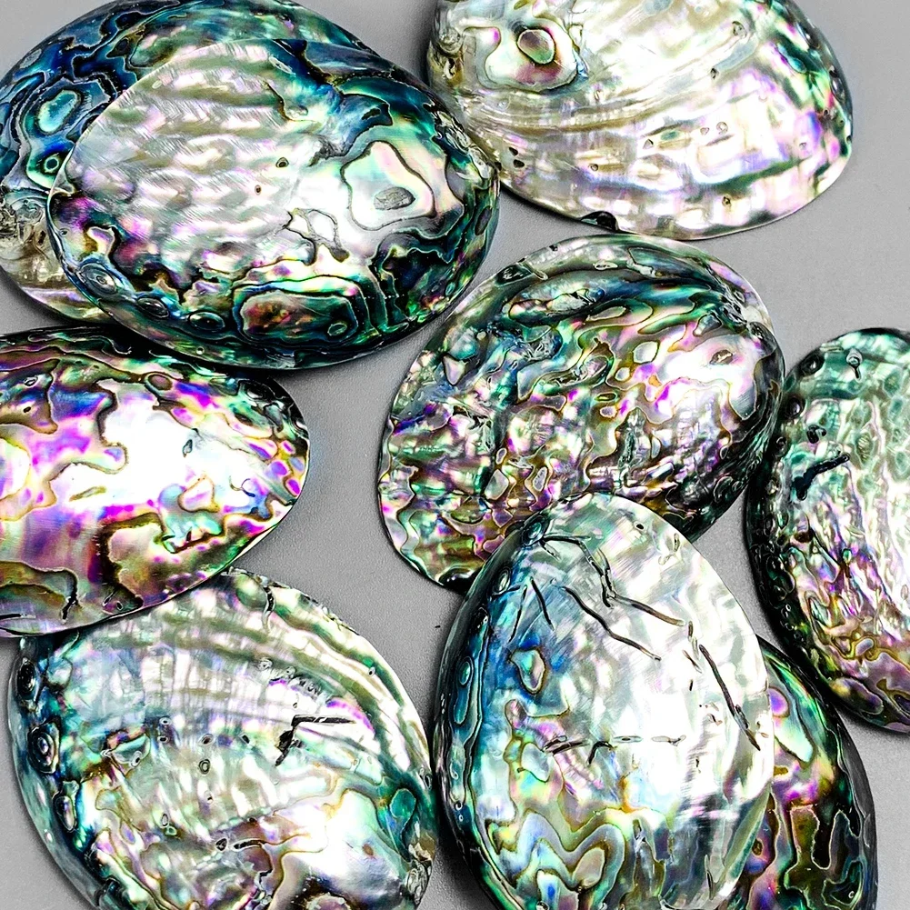 Natural Abalone Shell Polished Seashell Rainbow Iridescent Craft Jewelry Making Altar Decor Smudging Bowl Healing Shell view 2