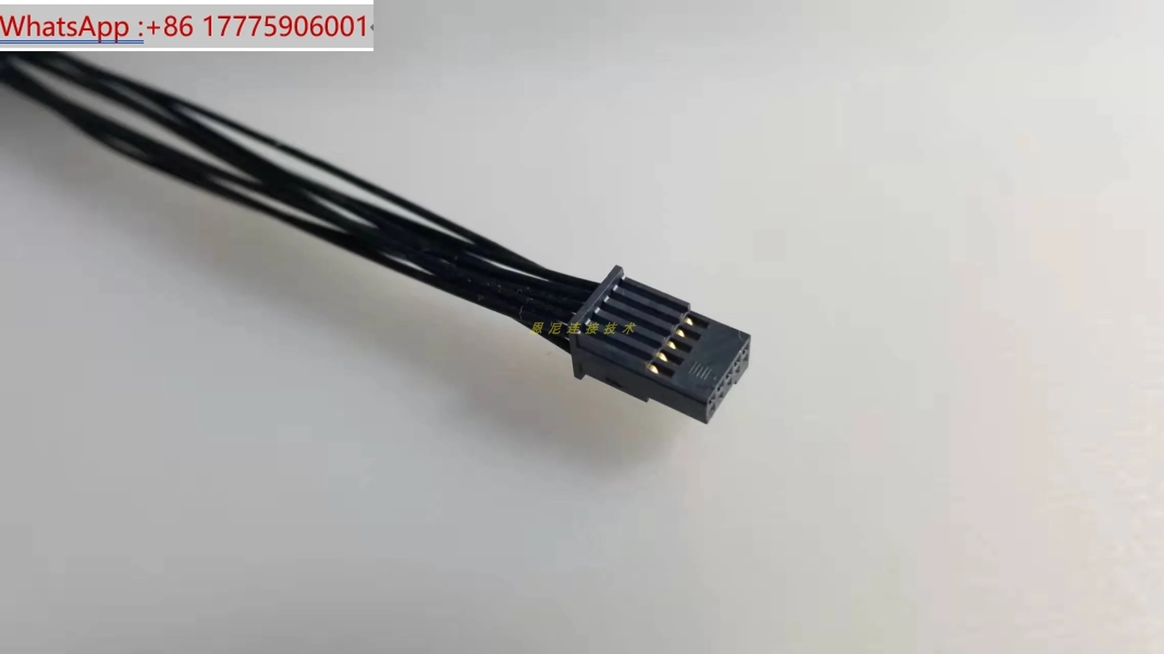 En 1.27 10 P 28 230…