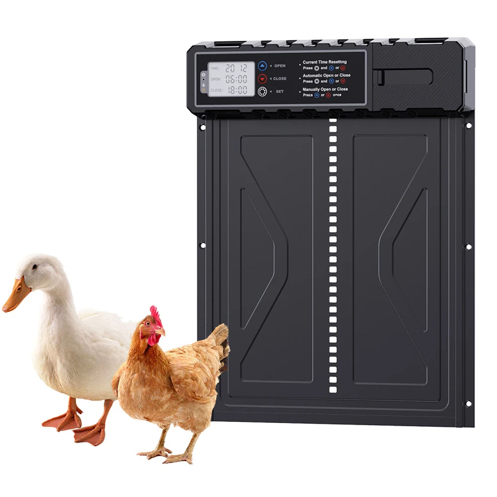 Porte de poulailler automatique, minuterie intelligente, ouvre-porte électrique en aluminium, fournitures agricoles de poulets, alimenté par batterie