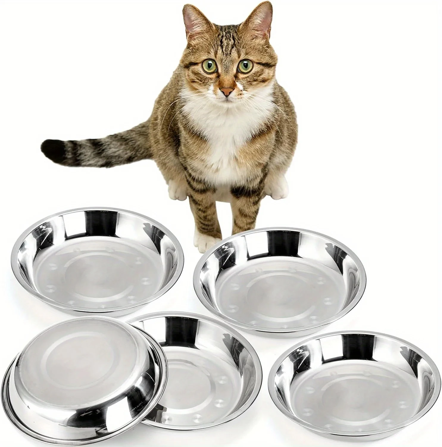 Slip-Resistant Stainless Steel Cat Bowl Set – Low-Profile Wide Design for Kittens & Small Pets Anti-Tip Base Feeding Station