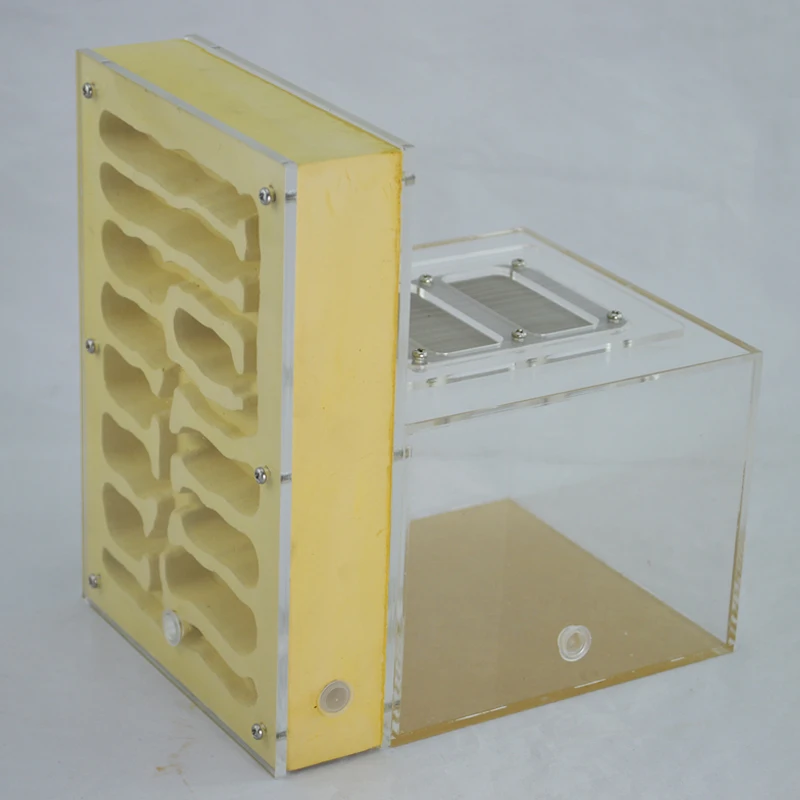 High grade dual purpose ecological gypsum ant nest, box integrated nest length, width, and thickness 203x141x43mm