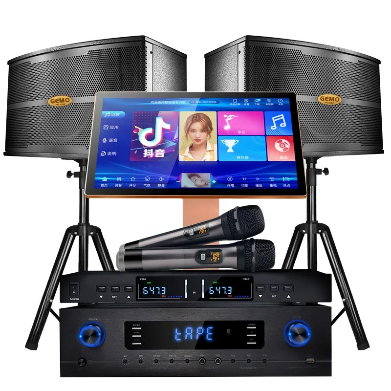 Factory Price Home KTV Karaoke Machine 2TB 10-Inch Speakers 2 Wireless Microphones Music Player 550W Amplifier 26 Languages