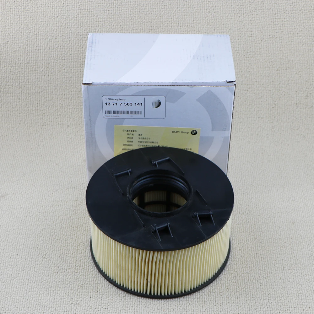 13717503141 Air Filter For BMW E46 316I 318I 318Xi For BWM 3 Series E46 316I 316Ci 316Ti 318I 318Ci 318Ci 13717503141