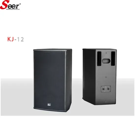 KTV Speaker Series Professional Audio Karaoke System with Touch Screen LCD   65W Powered 300W RMS for Commercial Home Use