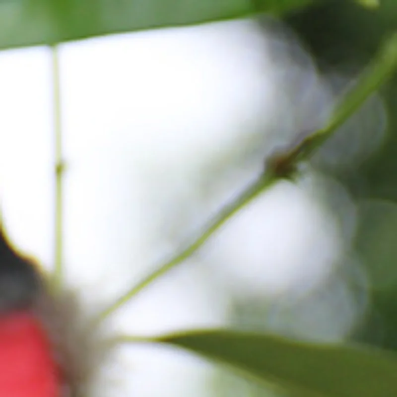 Swallow Tail Bird Clip Handmade Simulation Bird Plant-decorated artificial bird handicrafts for Ornament
