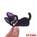 PE17161CT