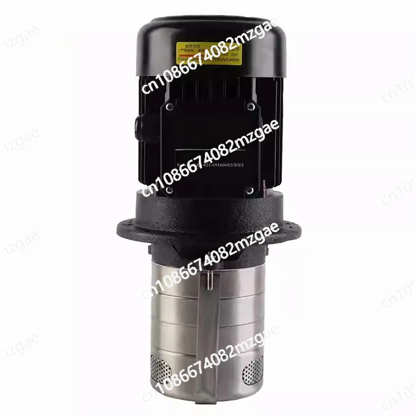 High lift vertical multi-stage vertical water pump CH2V-30-TP/450W outlet