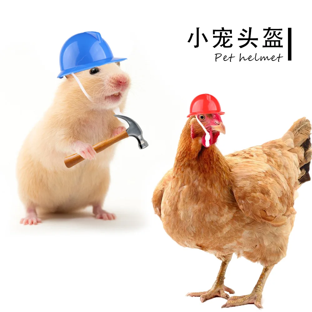 

Small Pet Products Protection Chicken Helmet Chicken Accessories Safety Bird Hat Hamster Helmet Decoration