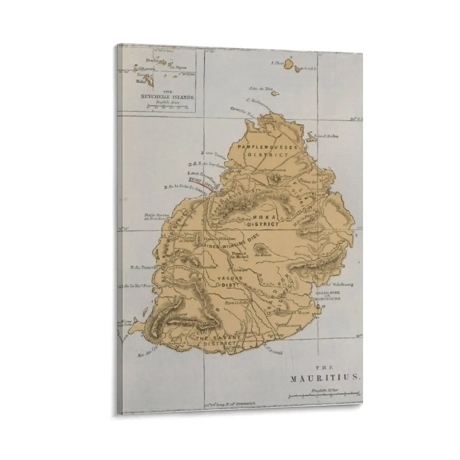 

Vintage Mauritius Map (1862) Canvas Painting Decor for room decoration for the room poster aesthetic modern home decoration