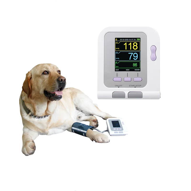 Fast Delivery OT-W08V Veterinary Sphygmomanometer Animal Pressure Measurement Veterinary Equipment