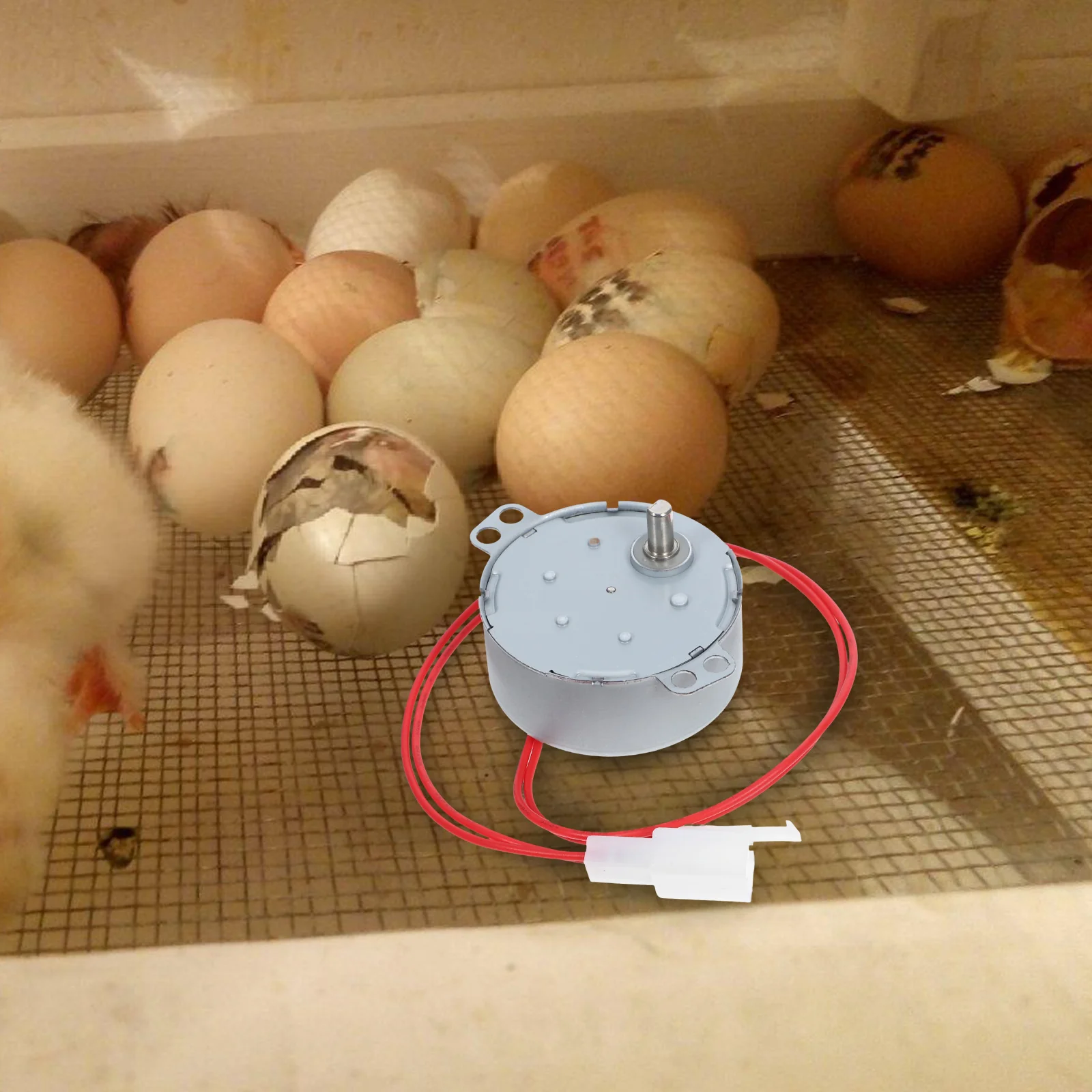 

Egg Turner Motor Mini Metal Part for Incubator Compatible 110V Voltage Hatchery Accessories Poultry Farming Pet Supplies Small
