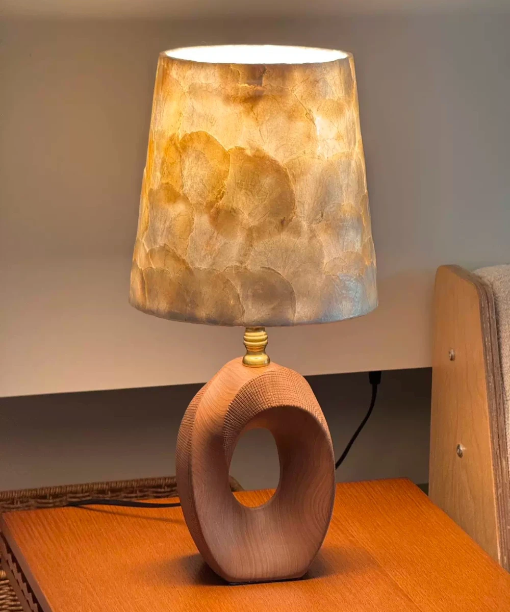 Retro LED Nordic Conch Table Lamp Bedroom Bedside Living Room Villa Corridor Entry Area American Retro Natural Shells Desk Light