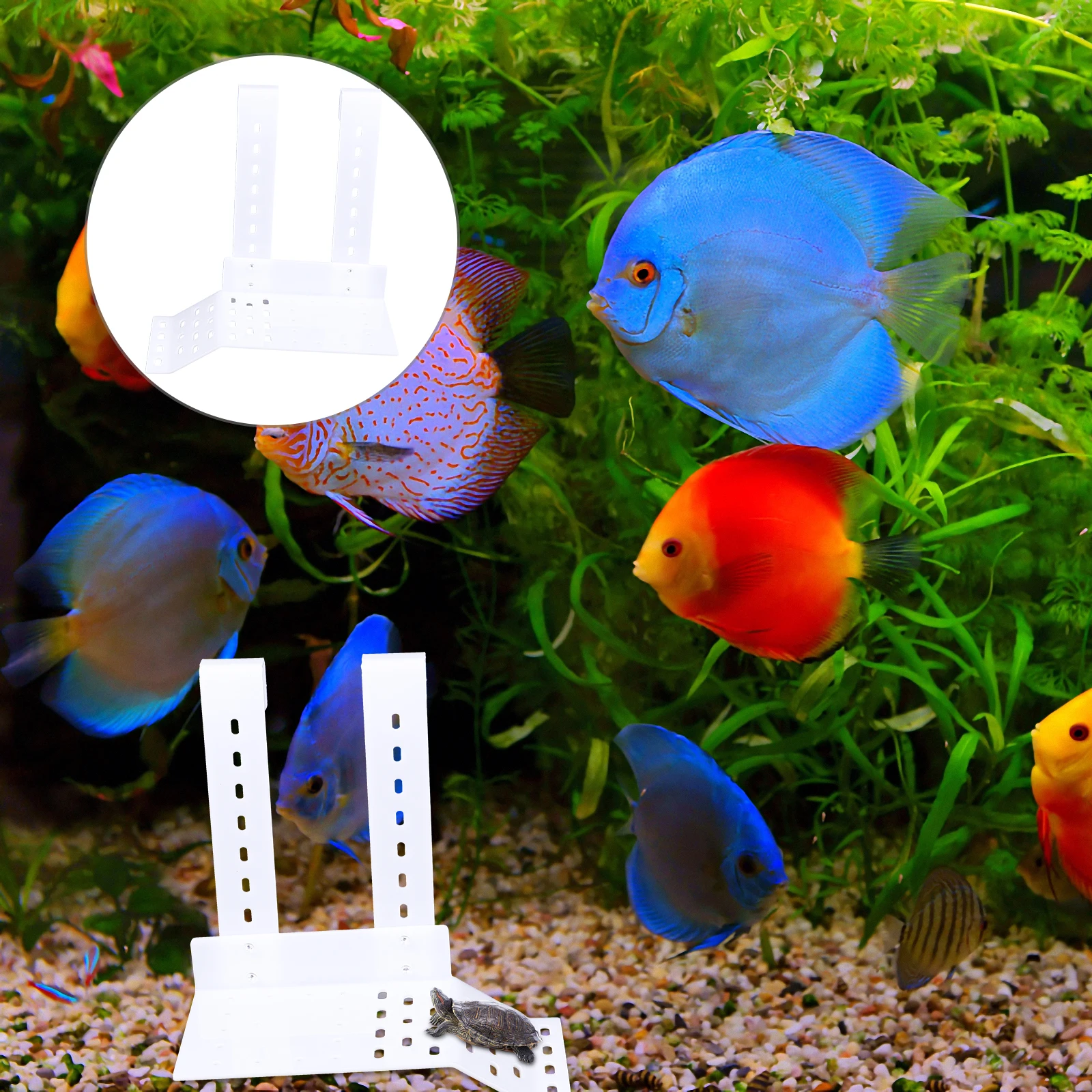 

Acrylic Turtle Basking Platform Fish Tank Decor Reptile Climbing Ladder Hooks Safe Colorfast Basking Terrace For