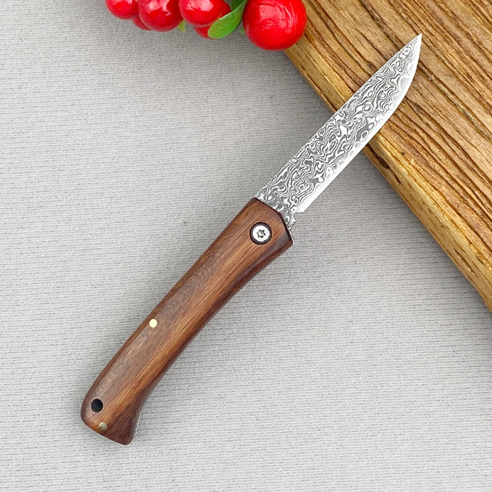 Damasco Profissional Chef Faca Facas de Frutas Pequenas Faca Afiada para Cortar Carne Edc Acampamento ao ar Livre Canivete Multifunções