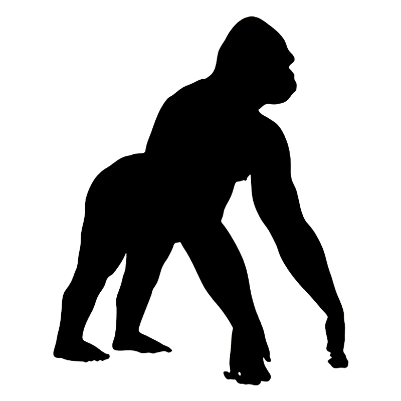 Die-Cut Vinyl Decal Chimpanzees Car Sticker Waterproof Auto Decors on Carbody Bumper Rear Window Laptop Choose Size 41333#