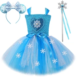 Sparkly Elsa Princess Dresses for Girls Snow Queen Ballet Tutus Kids Halloween Christmas Costume Girl Snowflakes Birthday Outfit