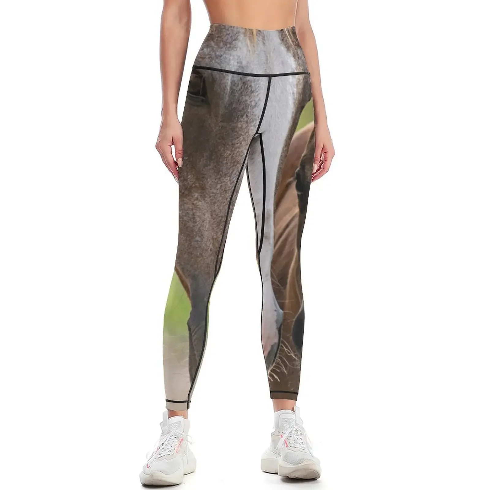 

Horse Family Leggings Tight fitting woman gym pants sports for harem pants Womens Leggings