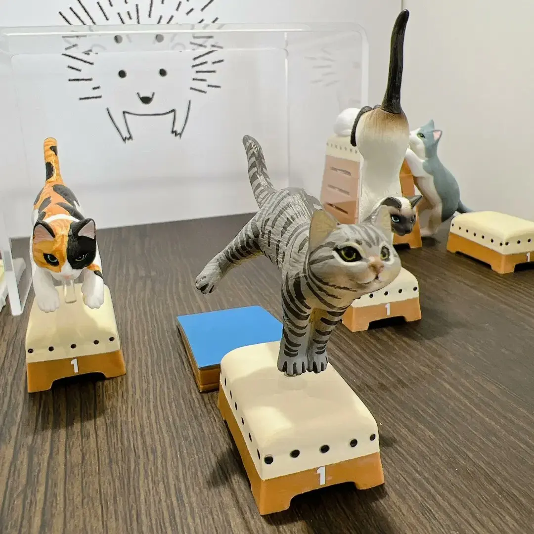 Stasto stand stone capsule toys Animal Attraction Jumping Box Cat new colors cute Sabatara tabby Siames calico cat figures