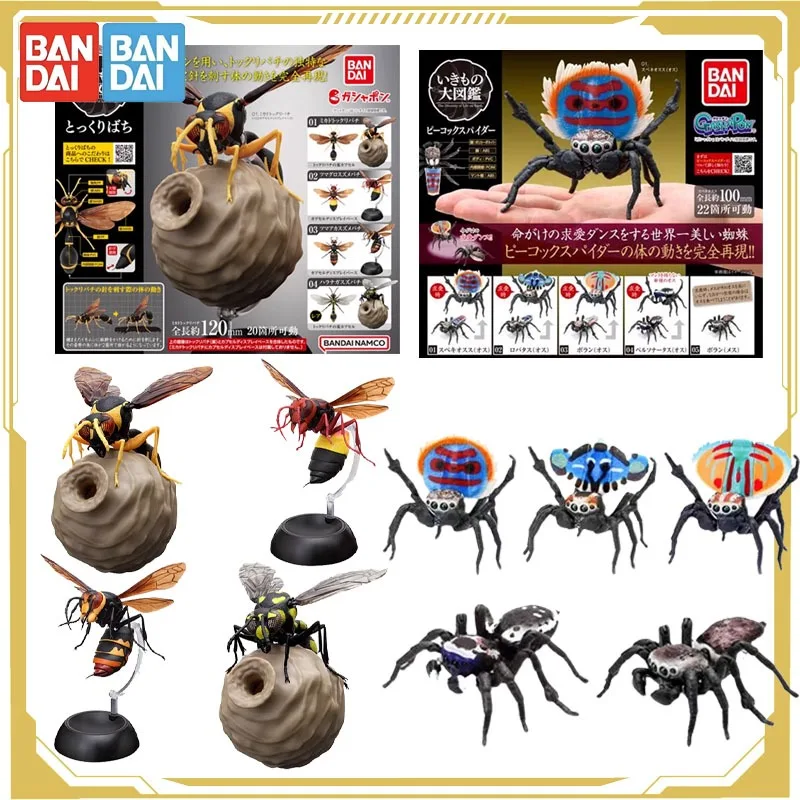 

Bandai Original Gashapon Biological Atlas Simulate Large Insects Peacock Spider Action Figure Toys for Boys Girls Kids Gift