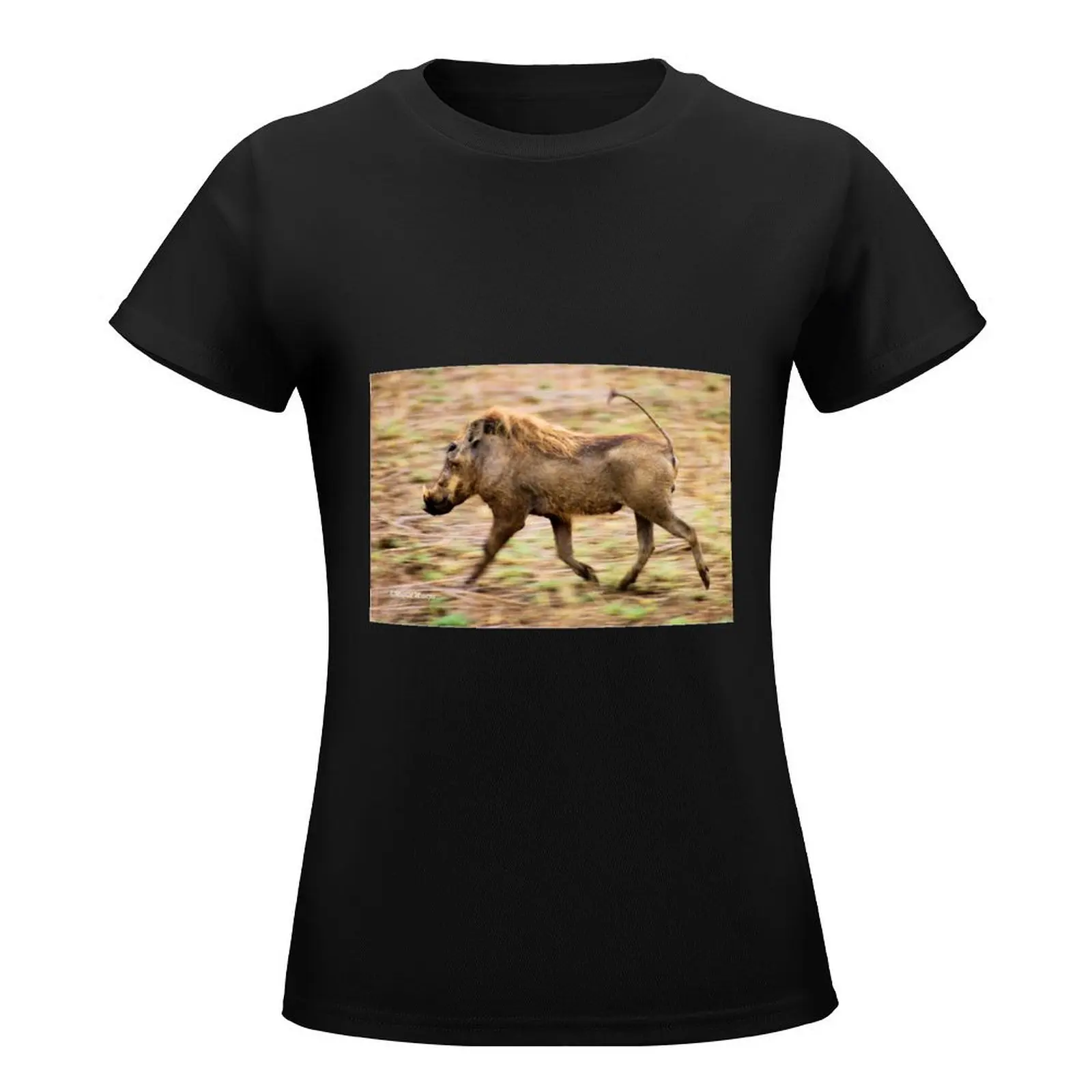 THE WARTHOG, Phacochoerus aethiopicus - The signal catcher ! T-Shirt shirts graphic tees summer tops Women's summer blouses 2024