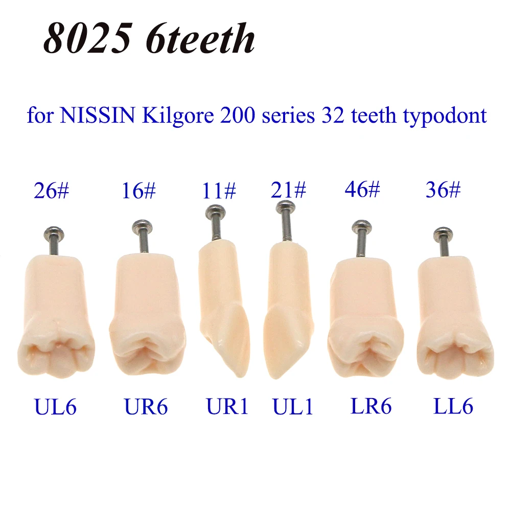 

Kilgore Nissin 200 Type Dental Screw-in Teeth Model Replacement Teeth Fit Filling Practice Typodont M8012/M8025