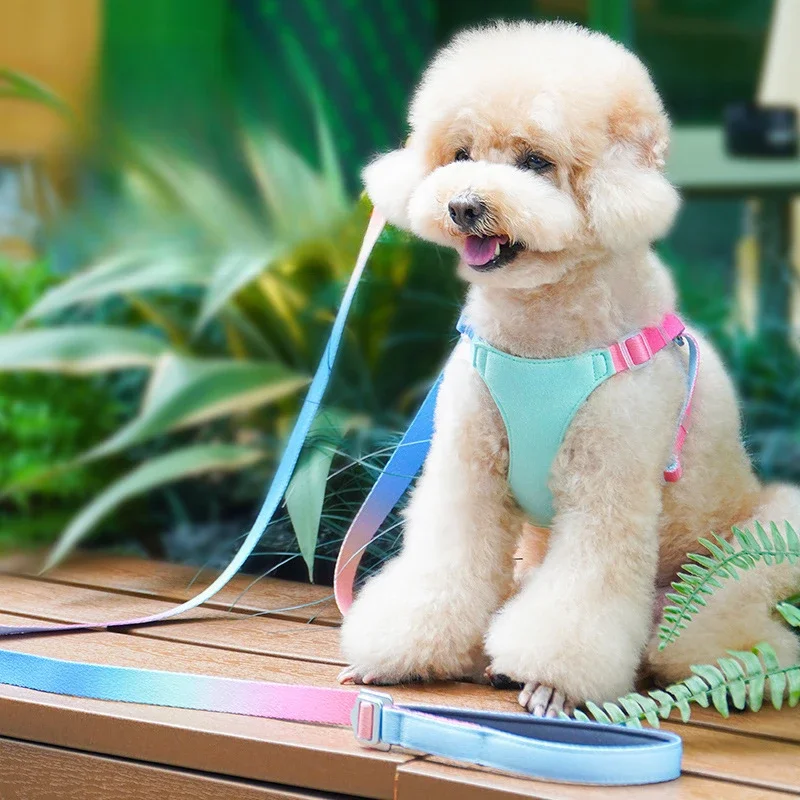 

Gradient Color Dog Breast Collar Hand Holding Rope Adjustable Vest Style Chest Strap Suit Small and Medium Sized Dog Accessories