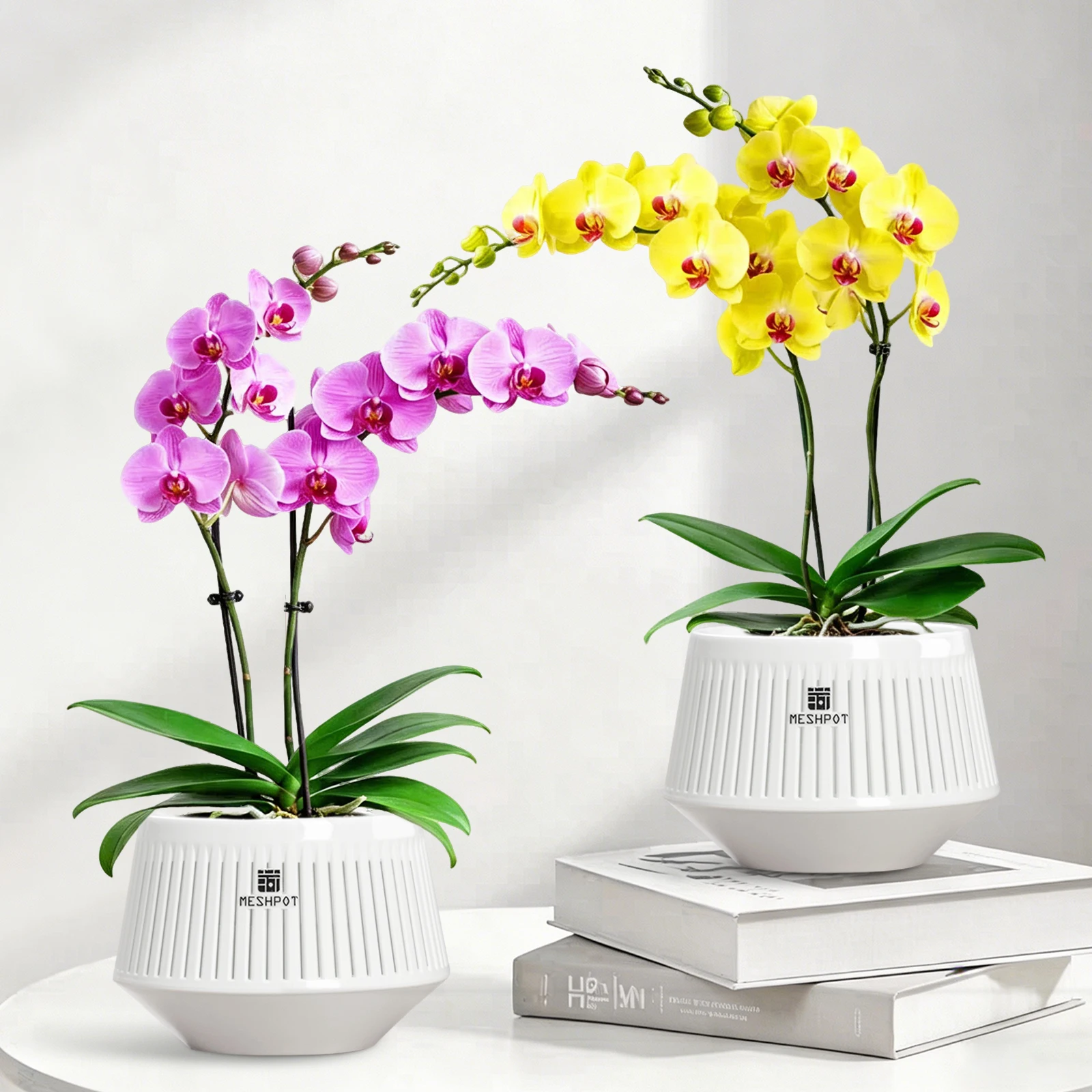 Meshpot Orchid Pot with Holes 5inch Orchid Planter with Drainage Holes and Tray Promoting Air Circulation and Drainage