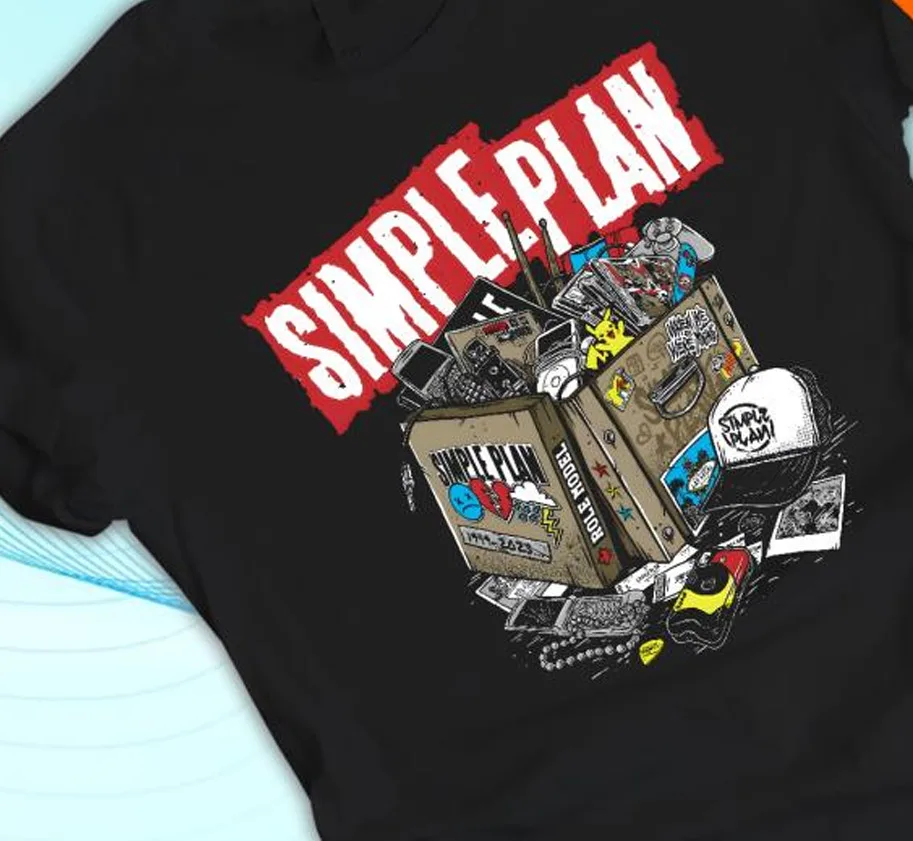 simple plan anything