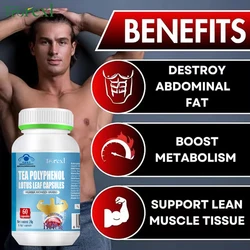 Trorexl Belly Fat Burner for Men - Lose Belly Fat,Tighten Abs,Support Lean Muscle Growth,Appetite Suppressant,Green Tea Extract