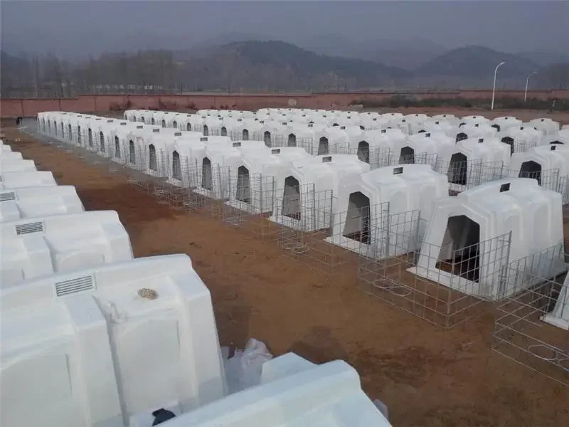 قفص البقرة لإمداد حالة المعيشة المريحة للماشية البقرة الماشية في المزرعة