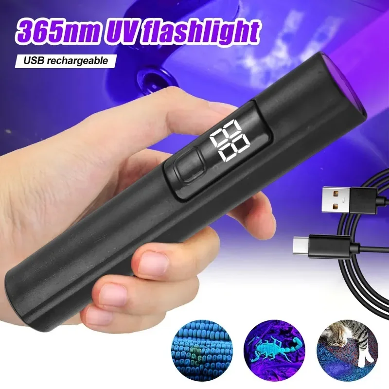 Portable UV Flashlight 365NM ABS Camping Torch with Charging Cable Ultraviolet Flashlights For Pet Stacks Fluorescent Detection