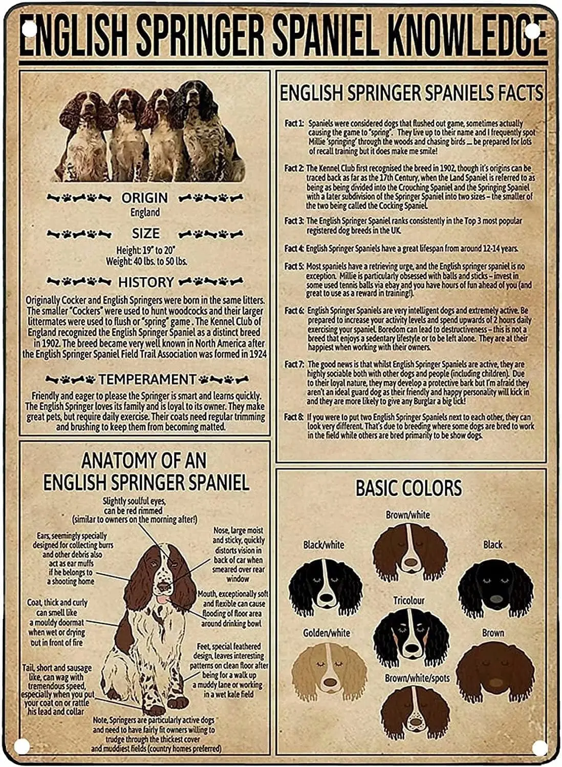 Dog English Springer Spaniel Knowledge Metal Tin Sign English Springer Spaniel Facts Retro Printing Poster School Pet Shop Cafe
