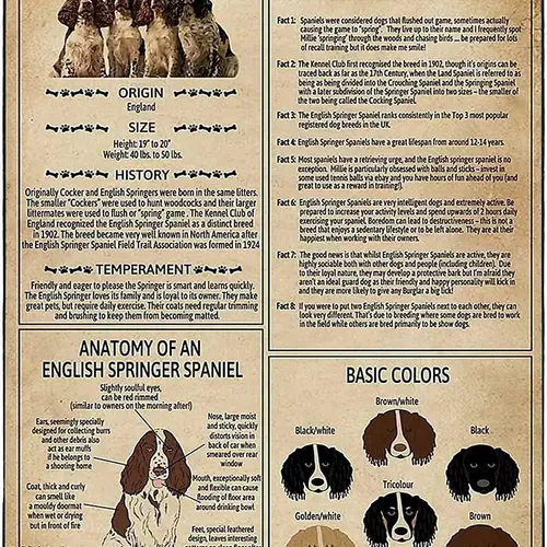 개 영어 스프링 스패니얼 지식 금속 주석 사인, 레트로 인쇄 포스터, 학교 애완동물 가게 카페 